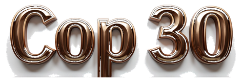 cop30 logo